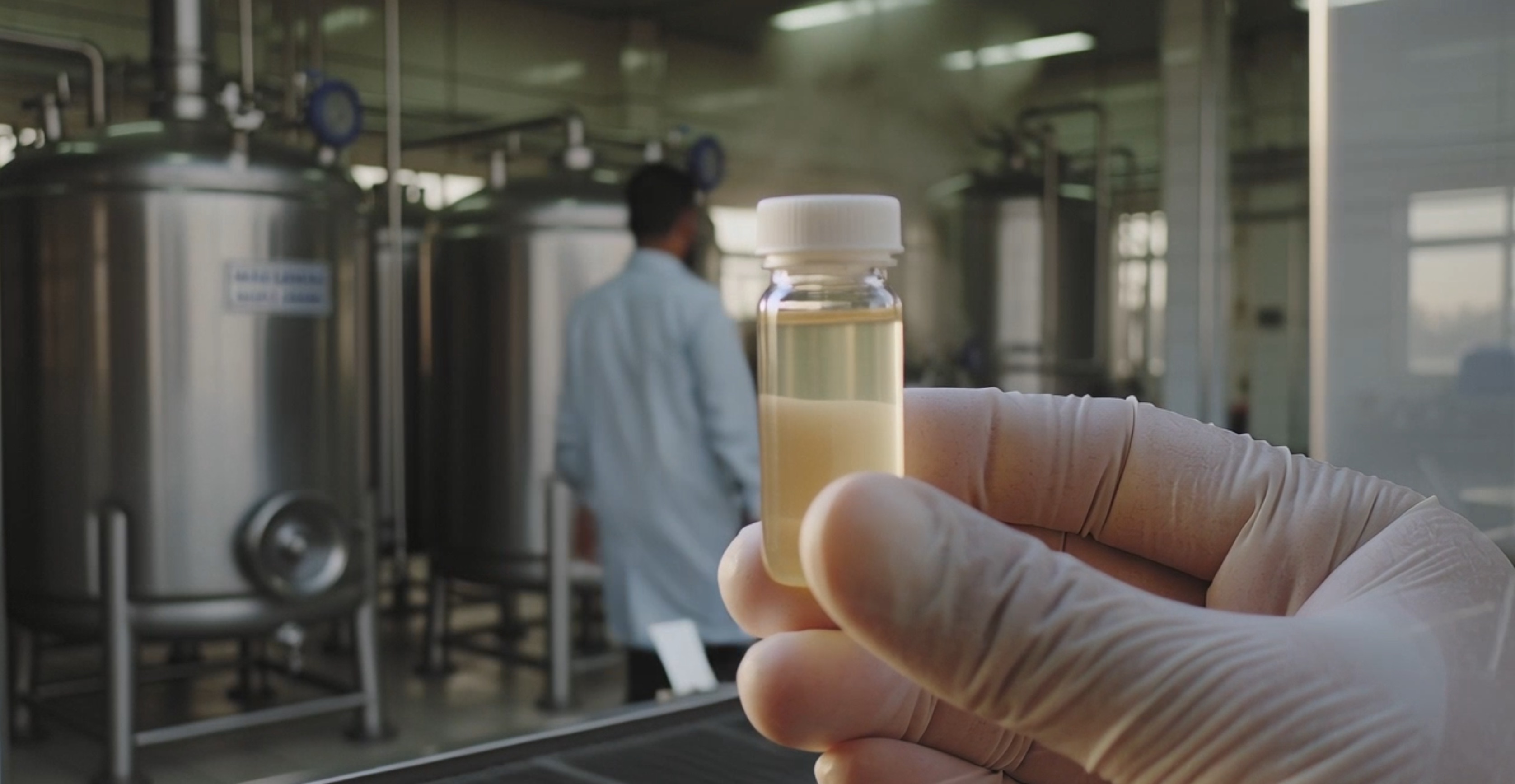 Aerial view of lush green farmlands in Andhra Pradesh