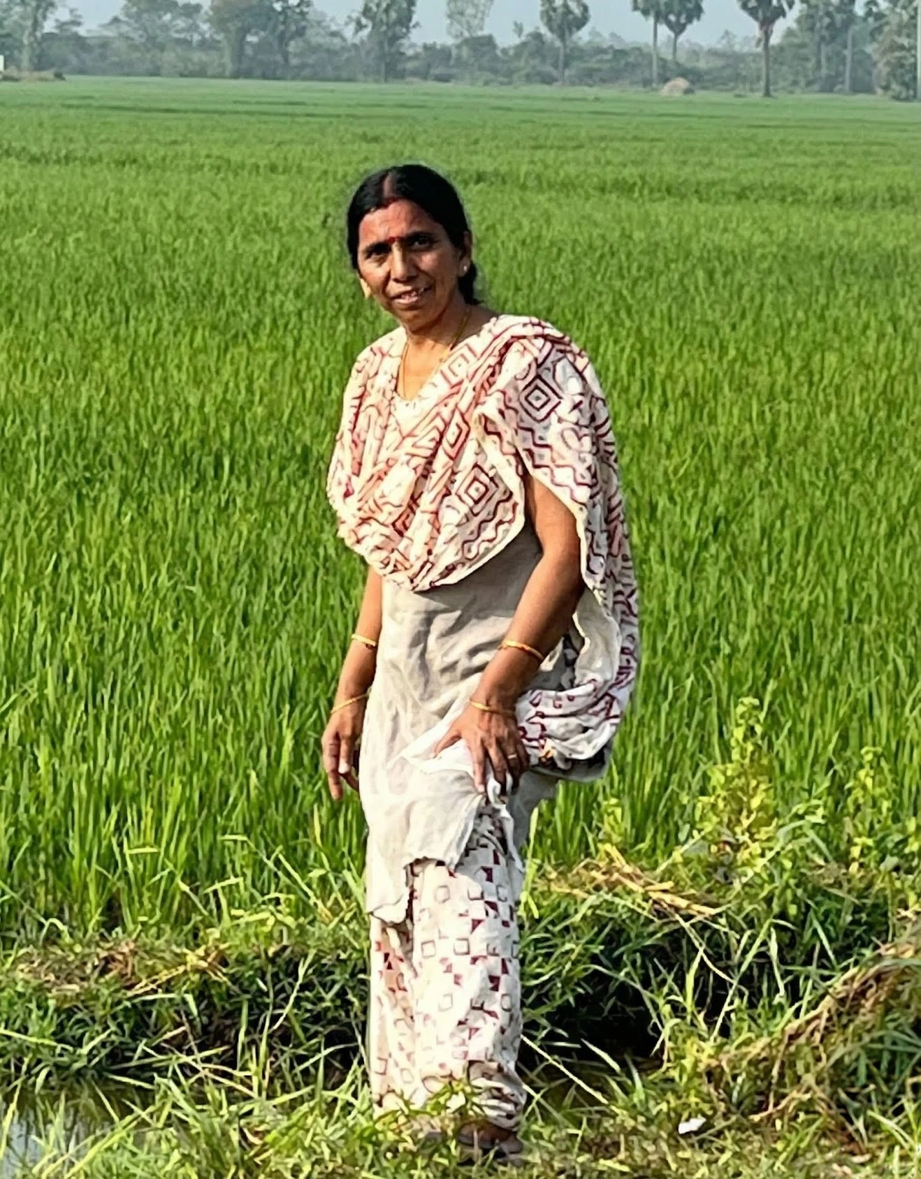 Balusu Parvathi Rajyam - Founder