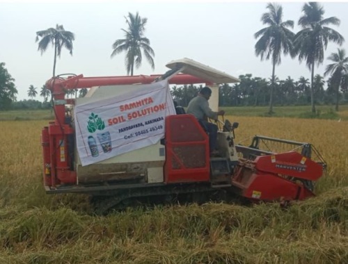 Harvest at Full Maturity