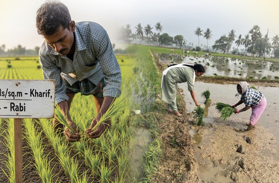 Transplantation with Proper Spacing